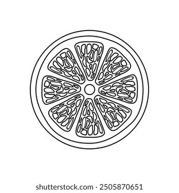 Lime round slice line icon set vector. Hand drawn juicy fruit. Orange slices on white background. Simple design for graphic, app, web, mobile phone, internet, cartoon, school children drawing book