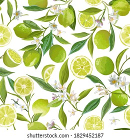 Lime Seamless Fruit Vector Pattern. Floral Citrus Illustration Background. Flowers, Leaves, Limes, Lemons Design Elements. Vintage Romantic Garden Print, Texture, Wallpaper, Backdrop, Textile