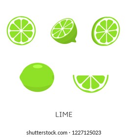 Lime set isolated.Vector illustration vegan concept