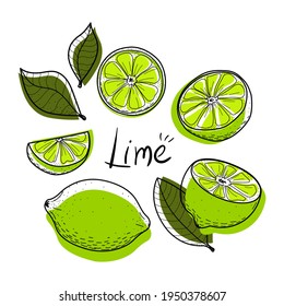 Lime set. Lime, slice, half, whole, and leaves. Colorful abstract citrus collection with black outline. Doodle, hand-drawn, flat, line art, sketch. Objects isolated on a white background. Vector.