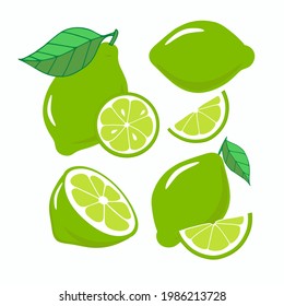  Lime set, slice, half, whole, and leaves. Colorful abstract citrus collection. Vector isolated on a white background. 