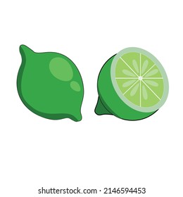 Lime set vector illustration isolated on white. Citrus fruit