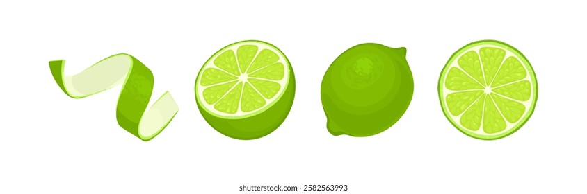 Lime set. Whole citrus fruit, cut in half, slice and green zest. Vector cartoon food illustration.