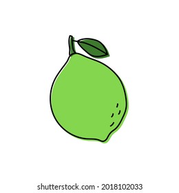 Lime sketch. Citrus fruit with leaf. Color food icon. Vector illustration