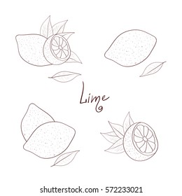 Lime. Sketch. Set.