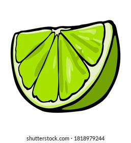 Lime slice. Color vector illustration for label, poster. Isolated on white background
