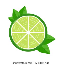 Lime slice, green, lemon, vector graphics, segmented on a white background.