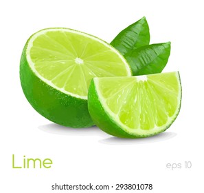 lime slice illustration isolated on white background