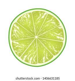 Lime slice isolated on white background. Citrus in cross section. Vector illustration