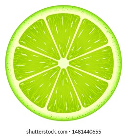Lime slice isolated on white background. Fresh fruit.