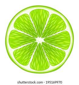 Lime slice isolated on white background.