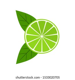 Lime slice with leaf isolated on white background. Vector illustration.