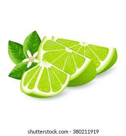 Lime slice with leaves isolated on white background. Vector illustration for decorative poster, emblem natural product, farmers market. Perfect for packaging design of cosmetics and food.