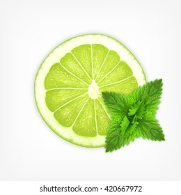 Lime slice with mint. EPS10