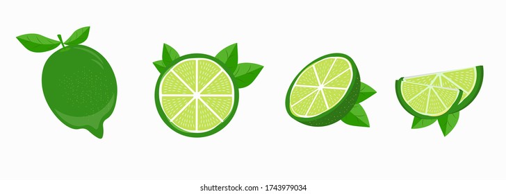 Lime slice, set of variations, green, lemon, vector graphics, segmented on a white background.