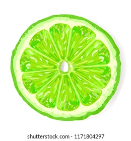 Lime Slice, top view. Realistic vector