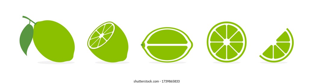 Lime slice vector citrus. Isolated citrus set of slices. Vector isolated illustration. EPS 10