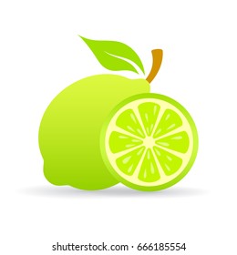 Lime slice vector icon isolated on white background