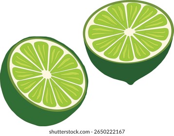 Lime Slice Vector Illustration – Fresh Citrus Fruit Clipart Design