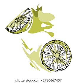 Fatia de limão e roda com raspas de tinta desenhadas à mão, ilustração vetorial isolada. Clipart de ingrediente de coquetel tropical para design de menu de barras, layouts de receitas, coleções de citros, vendedores de frutas, mercado de agricultores