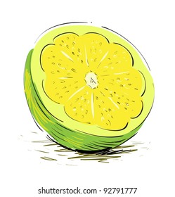 Lime sliced cartoon sketch vector illustration