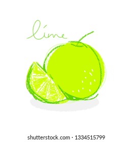 Lime with sliced piece. illustration isolated on White Background. Hand drawn healthy vegetable. Organic veggie. Citrus Fruits isolated on White Background. Lime illustration.