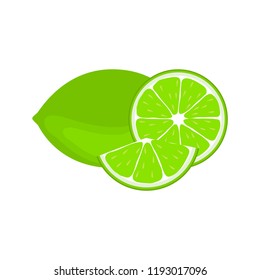 Lime and slices citrus isolated on white background. Tropical fruits. Flat design.