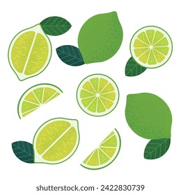 Lime and Lime slices Design Elements Set