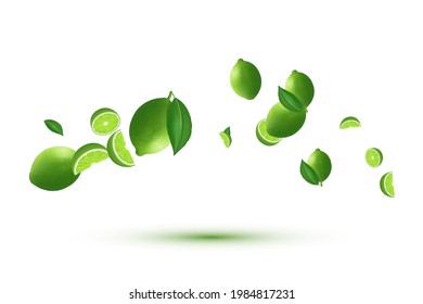 Lime with lime slices and eaves in flight. Realistic vector image isolated on white