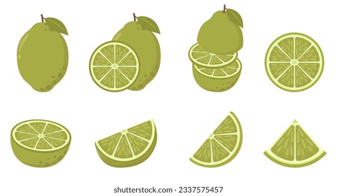 
Lime slices. Fresh citrus, half sliced limes and chopped lime. Cut limes fruit slice. Isolated vector illustration icons set. Whole, half, cut slice lime fruits isolated on white background.