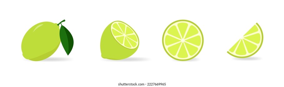 Lime slices, green citrus with leaves. Lime fresh slices set. Citrus lime, green and juicy, organic vitamin juice. Delicious juicy citron. Vector illustration of exotic plant isolated on white backgro