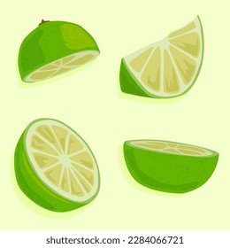 Lime slices with peel. Hand drawn vector image. Fresh citruses. Summer food.