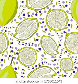 Lime slices and whole fruit, purple berries on a white background. Delicious and healthy food. Citrus doodles. Vector.