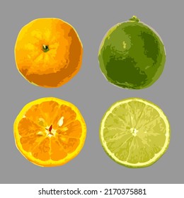 Lime and tangerine on a gray background. Vector