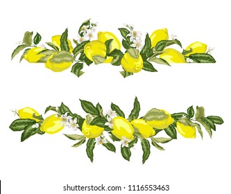 Lime template frame border wth citrus fruits and flowers on the branches in graphic vector illustation in realistic design