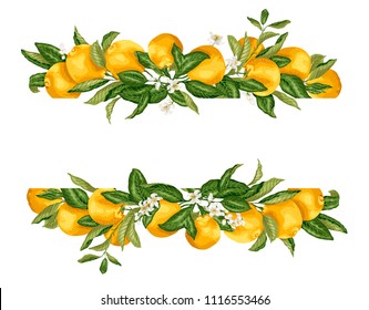 Lime template frame border wth citrus fruits and flowers on the branches in graphic vector illustation in realistic design