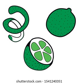 Lime tree elements, whole, peel and half