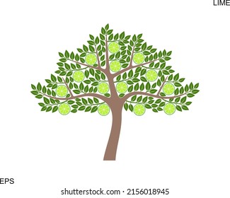 Lime tree logo. Isolated lime tree on white background