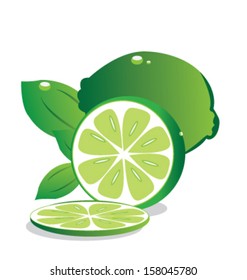 Lime vector