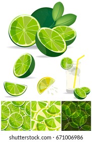 lime vector.