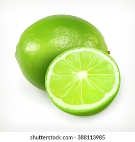 Lime vector icon. Fresh and juicy fruit, citrus.