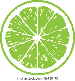 lime vector illustration