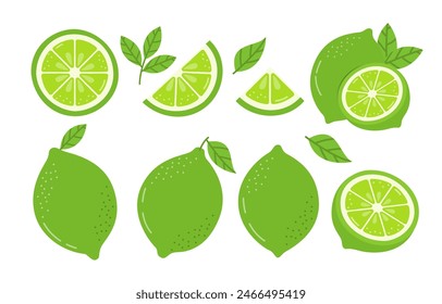 Lime Vector Illustration Isolated on White Background. Whole Summer Fruit with Halves, Slices and Leaves Set.