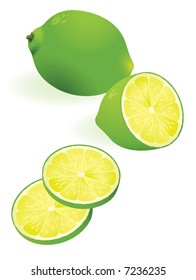 Lime. Vector illustration. No gradient meshes used. Easy to edit.