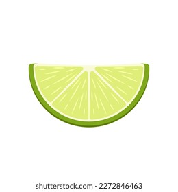 Lime vector on white background. Half lime vector.