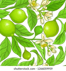 lime vector pattern