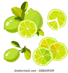 lime vector set