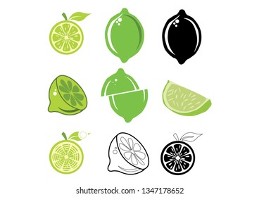 Lime Vector Work