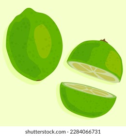 Lime whole and cut in half. Hand drawn vector image. Fresh citruses. Summer food.