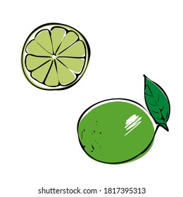 Lime, whole, half, slice and leaves. Colorful sketch collection of citrus fruits isolated on white background. Doodle hand drawn vegetables. Vector illustration